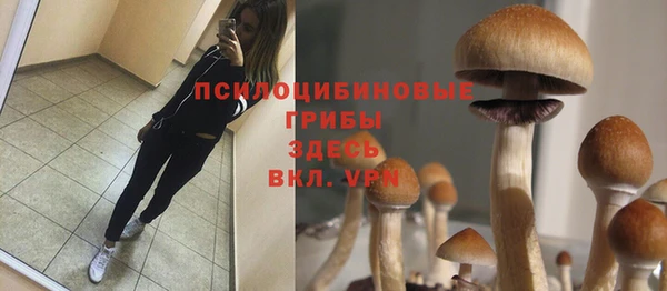 apvp Алексеевка