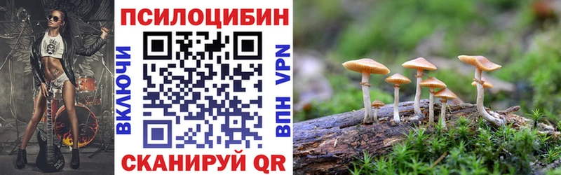 Галлюциногенные грибы мухоморы  блэк спрут ссылка  Закаменск  купить наркоту 